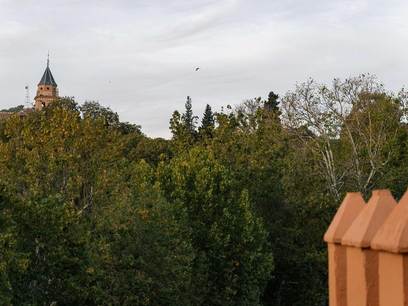 Alhambra Palace 8
