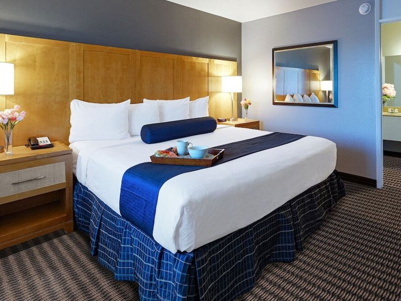Travelodge by Wyndham Palm Springs 9