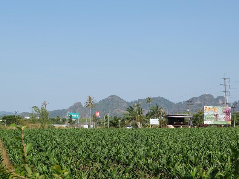 Numjaan Resort 6