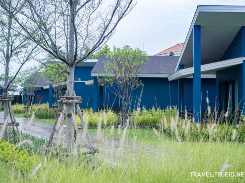 Coral Tree Villa Hua Hin 4