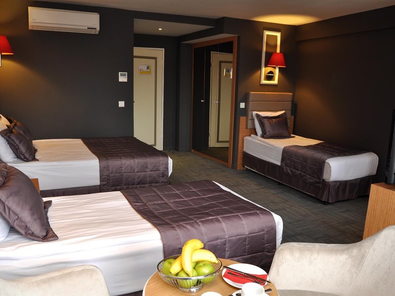 All Seasons Hotel Istanbul 13