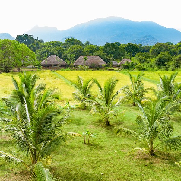 Amuna Ayurvedic Retreat 6