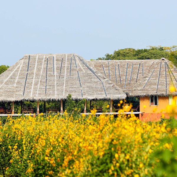 Amuna Ayurvedic Retreat 23
