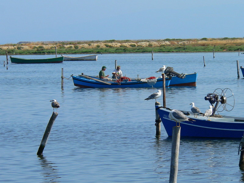 Tarthesh 4