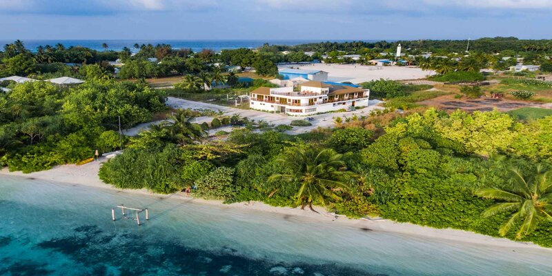 Olive Goidhoo 1