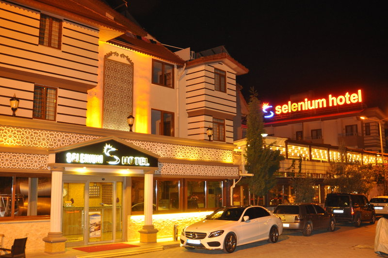 Selenium Hotel 1