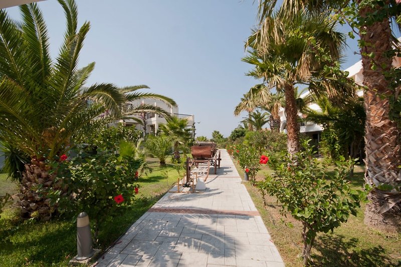 Tigaki Beach 21