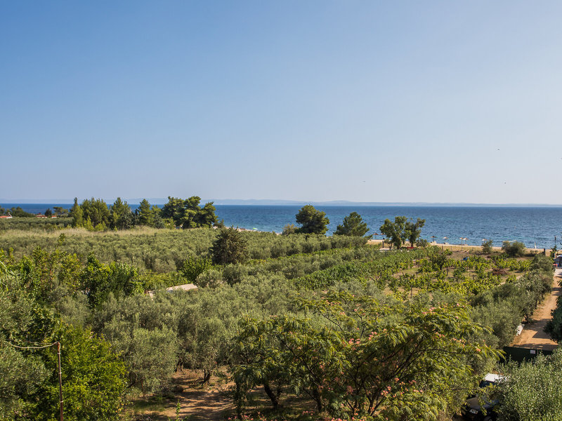 Coral Blue Beach 2