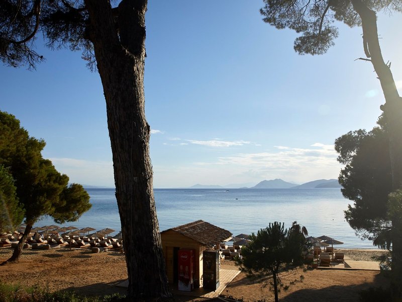 Elivi Skiathos 31