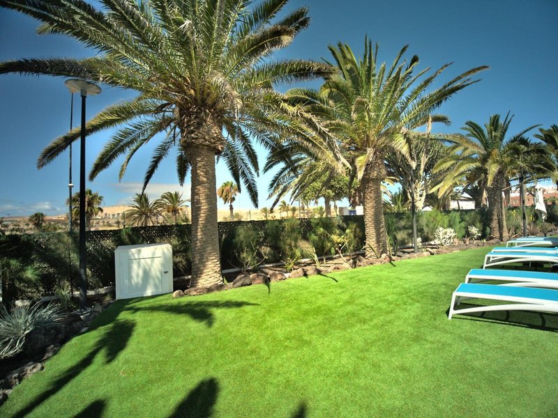 COOEE Taimar  5