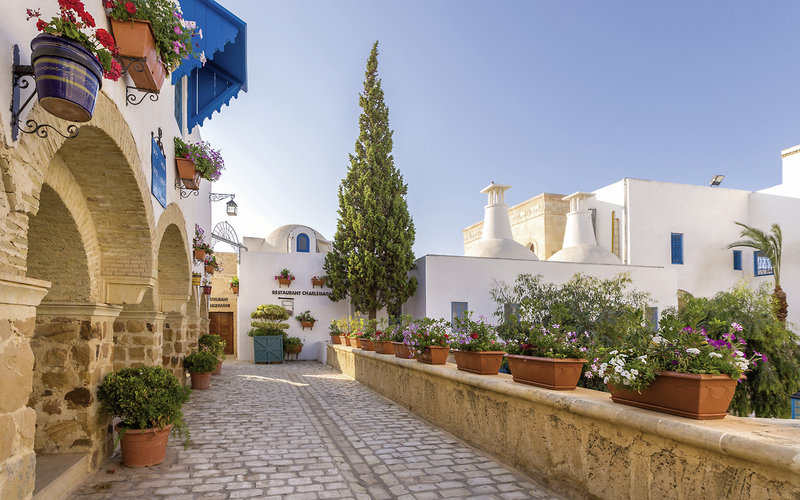 Medina Diar Lemdina 22