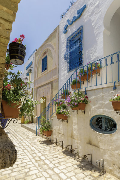 Medina Diar Lemdina 24
