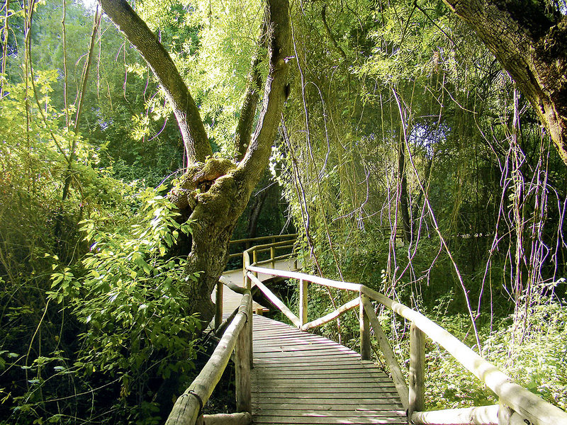 Best Costa Ballena 17