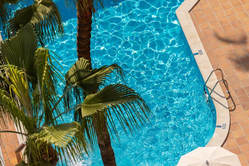 htop Amaika Adults Only 2