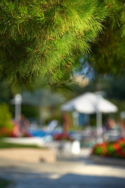 Acrotel Elea Beach 85