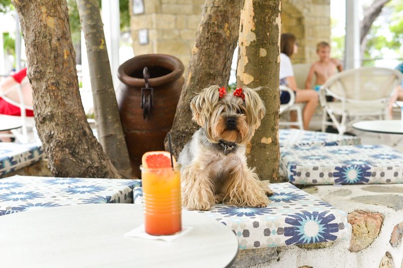 Acrotel Elea Beach 86