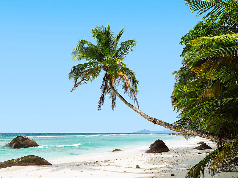 Niva Labriz Seychelles 16