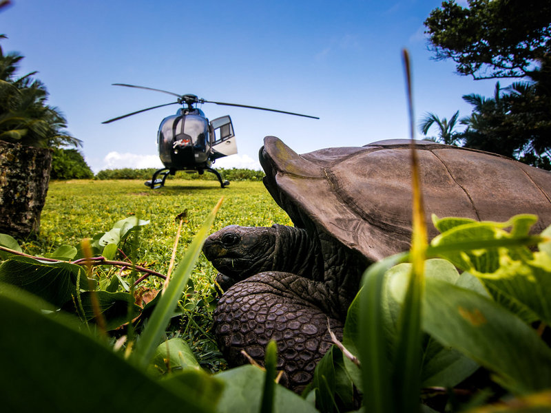 Hilton Seychelles Labriz Resort & Spa 15