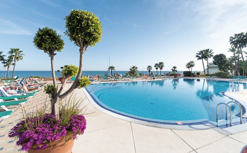 Hotel MS Amaragua 4