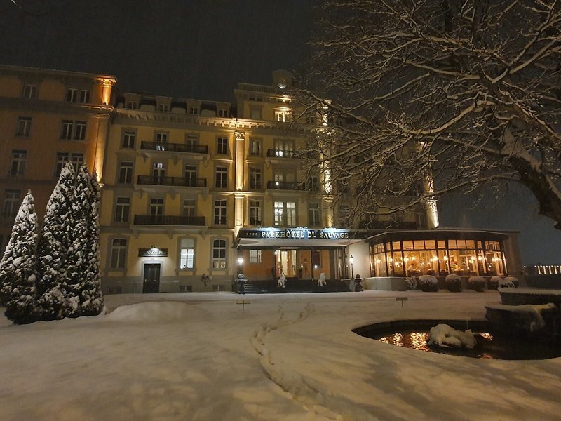 Parkhotel Du Sauvage 3