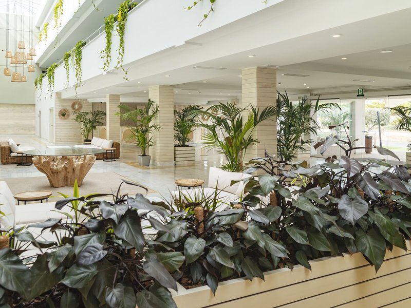 SunConnect Cabogata Garden 23