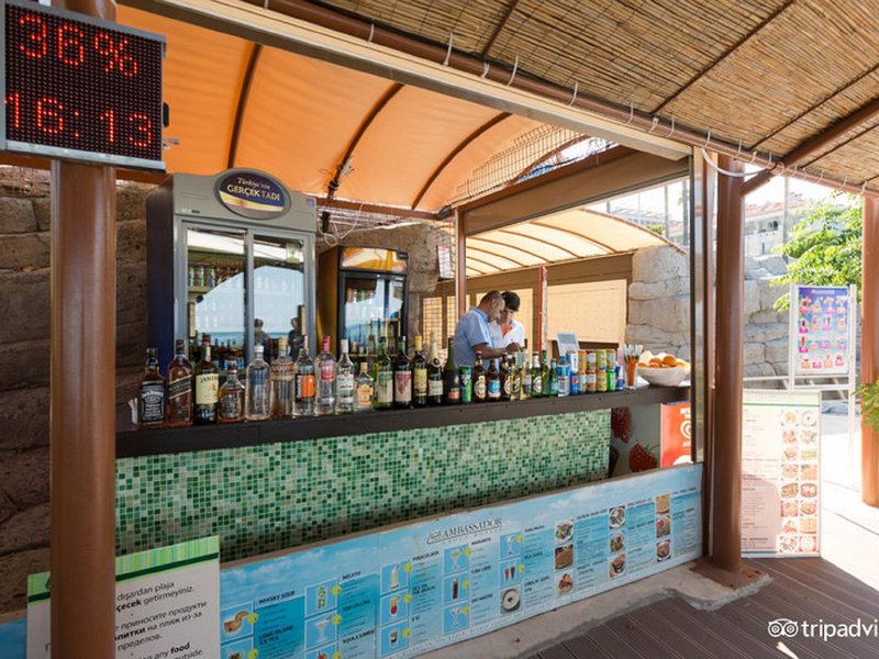 Ambassador Hotel  29