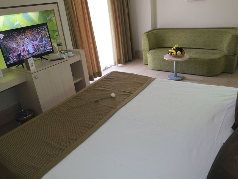 Ambassador Hotel  49