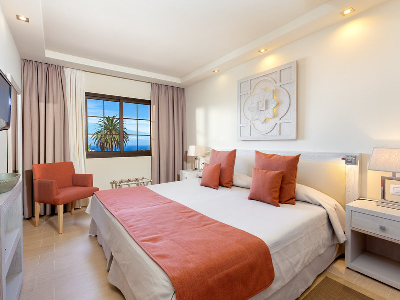 Ambassador Apartamentos 20 - Room Example