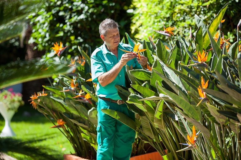 Ambassador Apartamentos 8