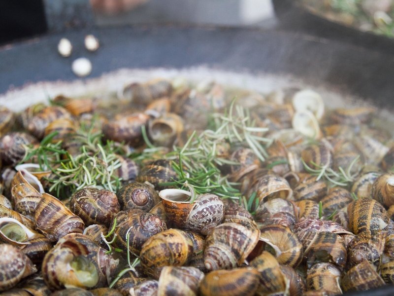 Peninsula Resort & Spa 38