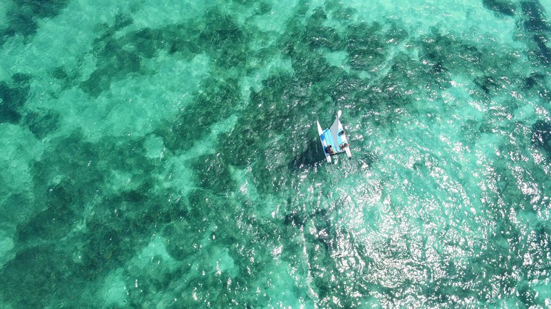 JOIA Paraiso by Iberostar 19