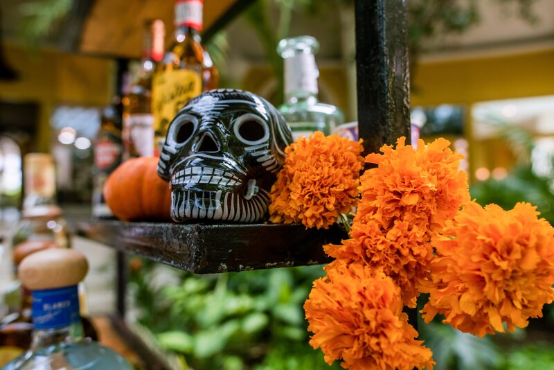 Iberostar Grand Hotel Paraiso 118