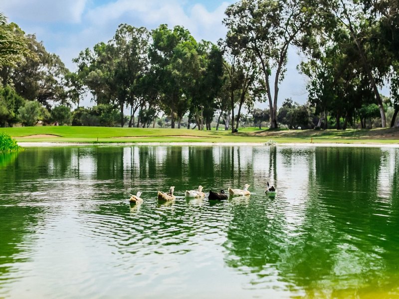 Tikida Golf Palace 4