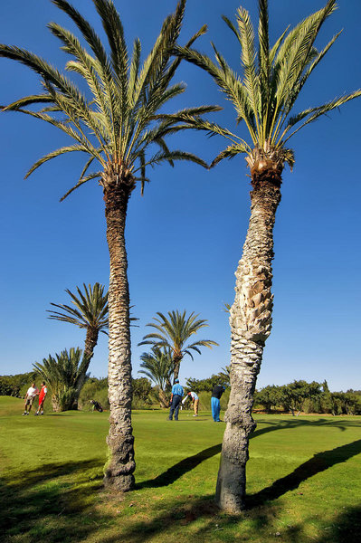 Tikida Golf Palace 35