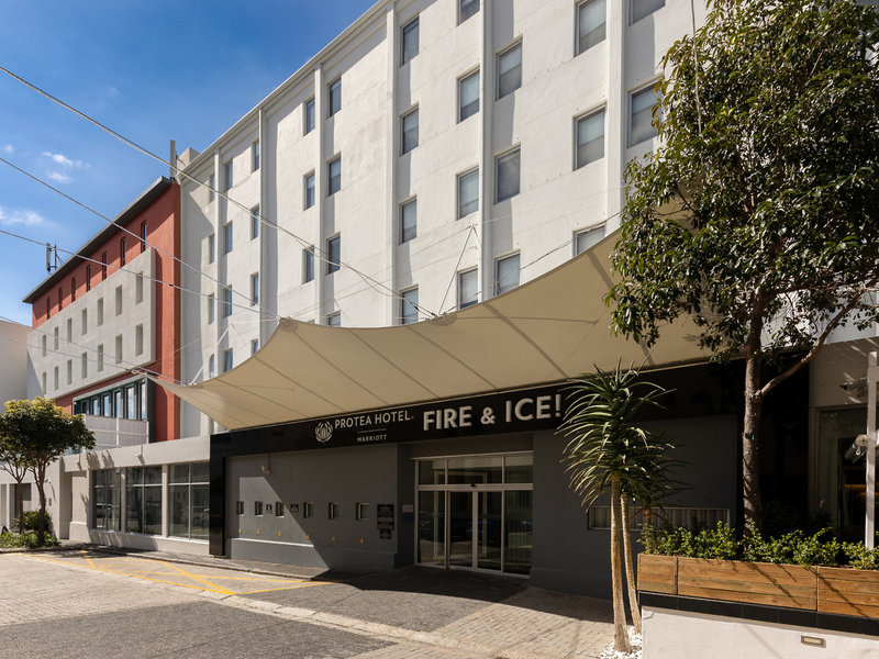 Protea Fire & Ice 1