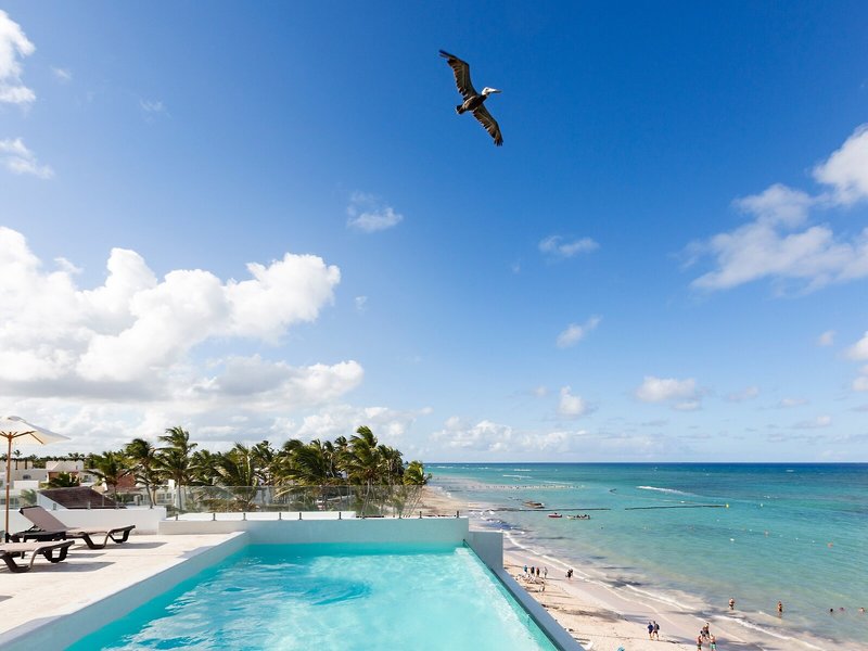 whala! Bavaro 20