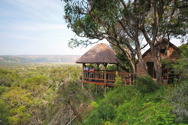 Amakhala Game Reserve 1