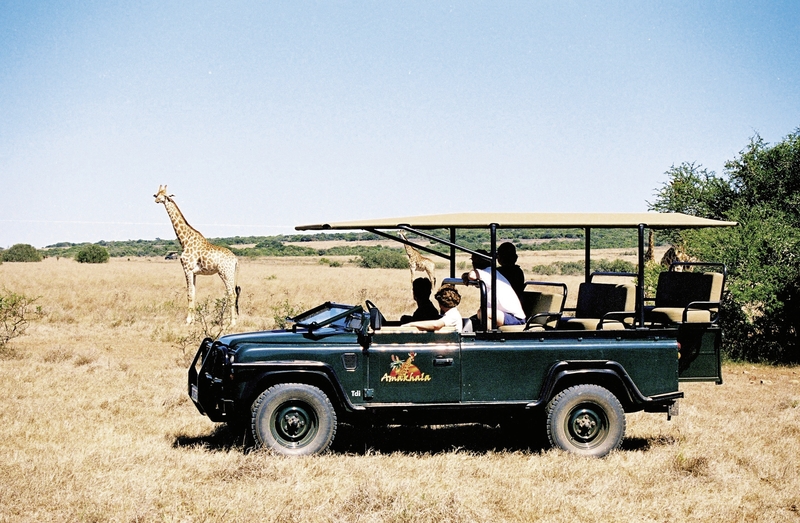 Amakhala Game Reserve 7