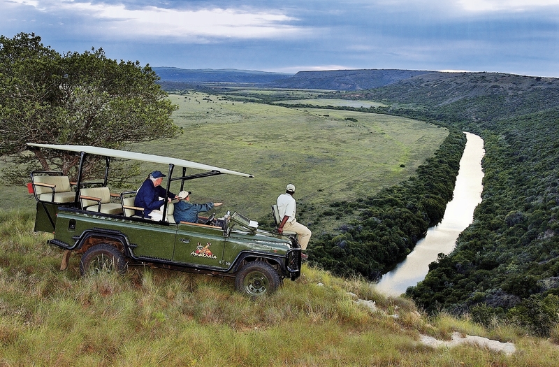 Amakhala Game Reserve 8