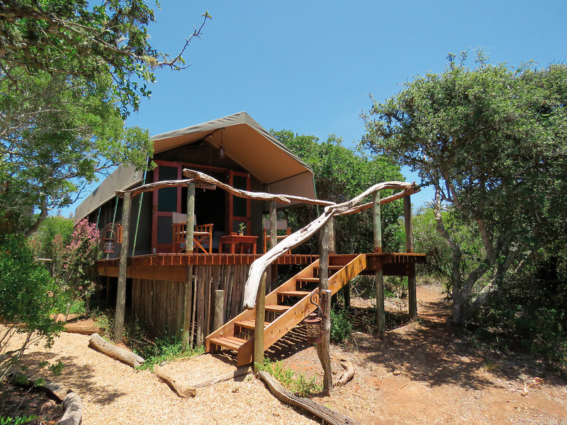 Amakhala Game Reserve 9