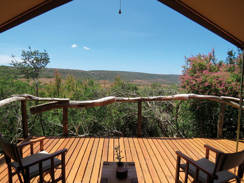 Amakhala Game Reserve 11