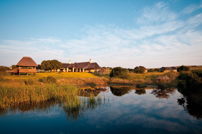 Amakhala Game Reserve 16