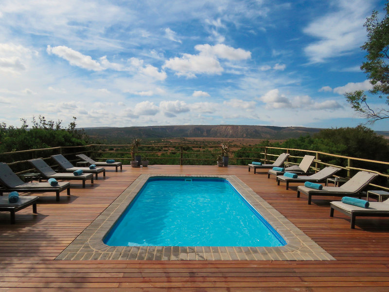 Amakhala Game Reserve 17