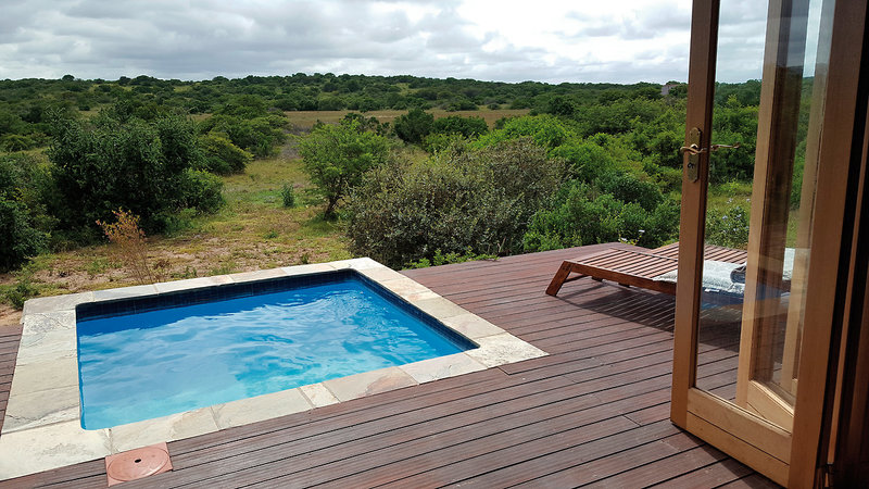 Amakhala Game Reserve 20