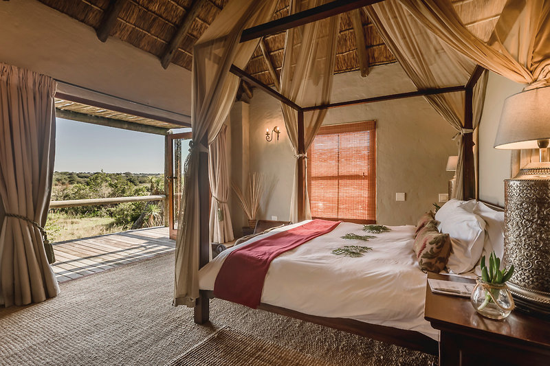 Amakhala Game Reserve 25