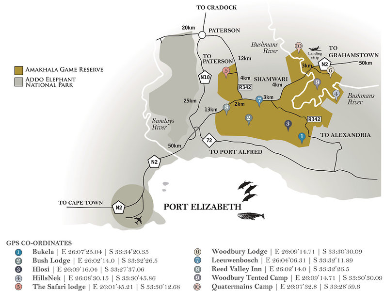 Amakhala Game Reserve 32