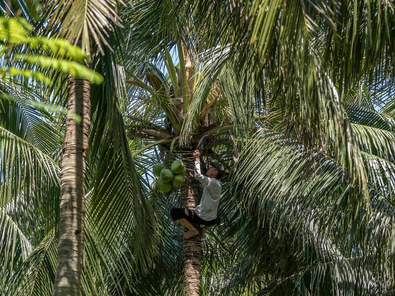 Four Seasons Resort The Nam Hai Hoi An 42