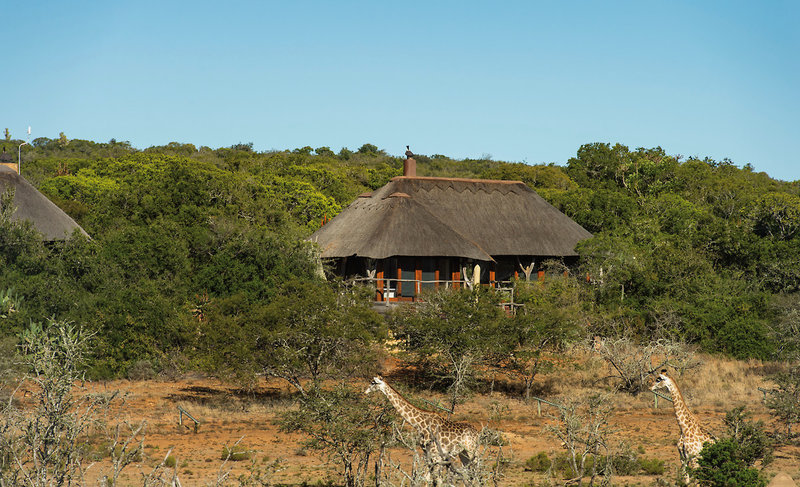 Pumba Private Game Reserve 2