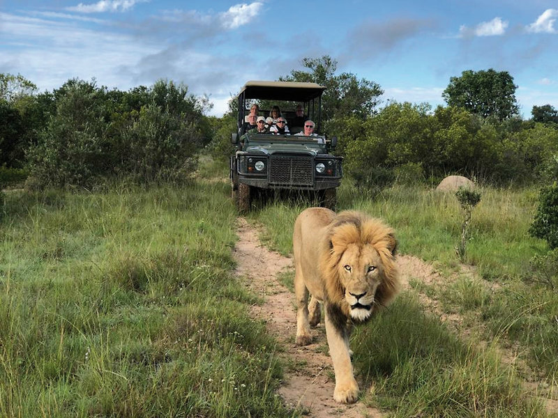 Pumba Private Game Reserve 24