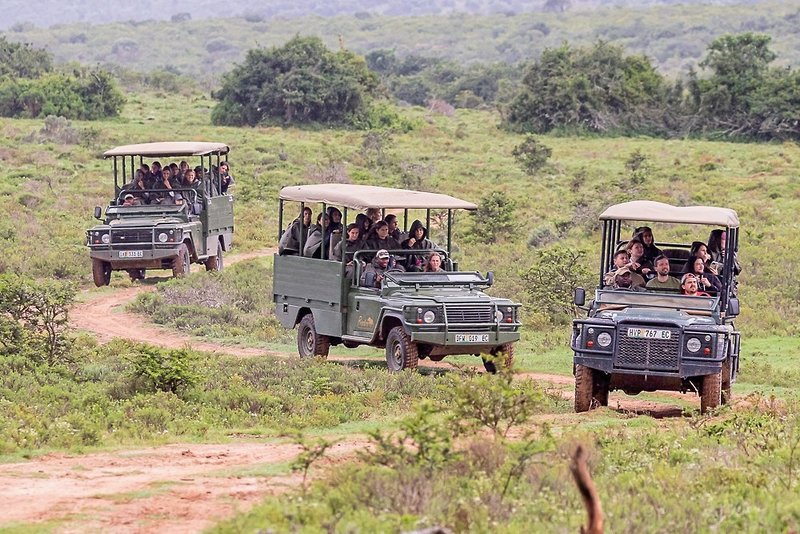 Pumba Private Game Reserve 27